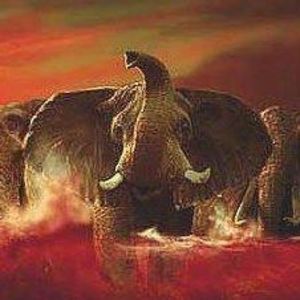 Meet your Posher, Shane